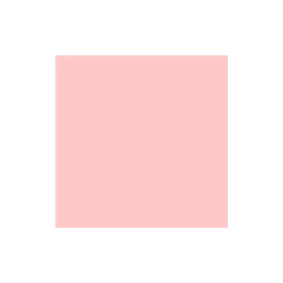 LEE FILTERS SHEET PALE SALMON 48INX21IN LEE FILTERS SHEET PALE SALMON 48INX21IN