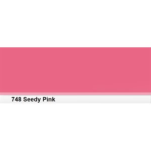 LEE Filters 748 Seedy Pink Roll 7.62m x 1.22m