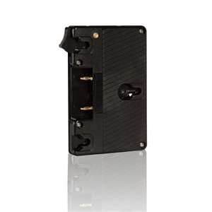 SHAPE Gold mount lock plate