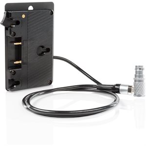 SHAPE Alexa Mini gold mount battery plate