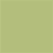 Superior Seamless 13 Tropical Green Background Paper Roll 2.72m x 11m