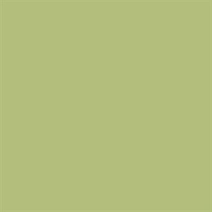 Superior Seamless 13 Tropical Green Background Paper Roll 2.72m x 11m