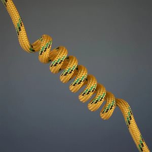 Walkie Woogies 02 - Mango