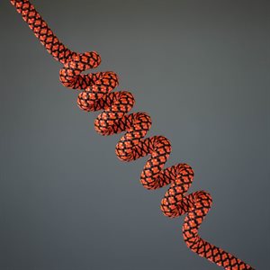 Walkie Woogies 24 - Tangerine